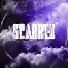 Storm Sounds - SCARRED (feat. Alex Davidson & Cairo the Mask) - Single